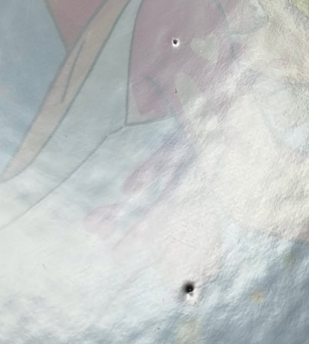 くすのきrin tweet media