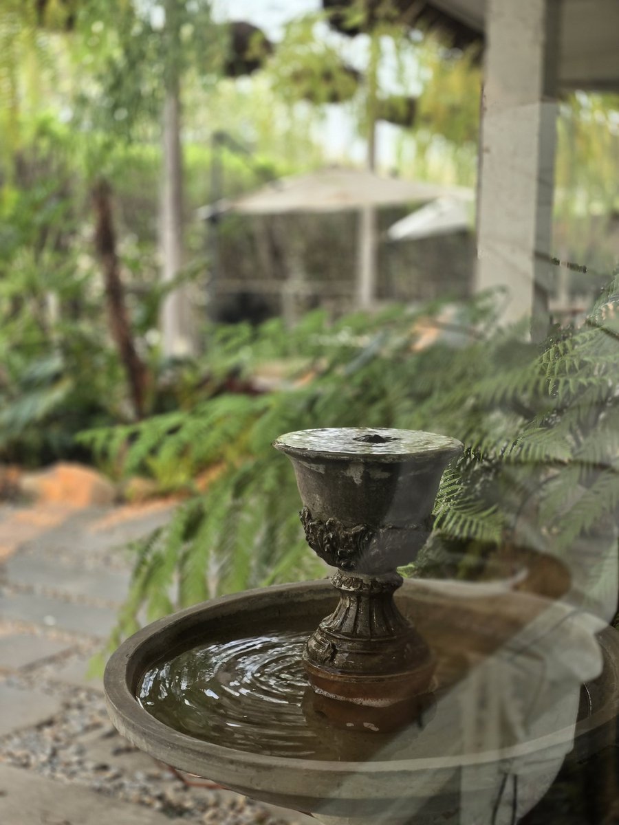 EllyChen-JSY 𑁍ࠬ tweet media