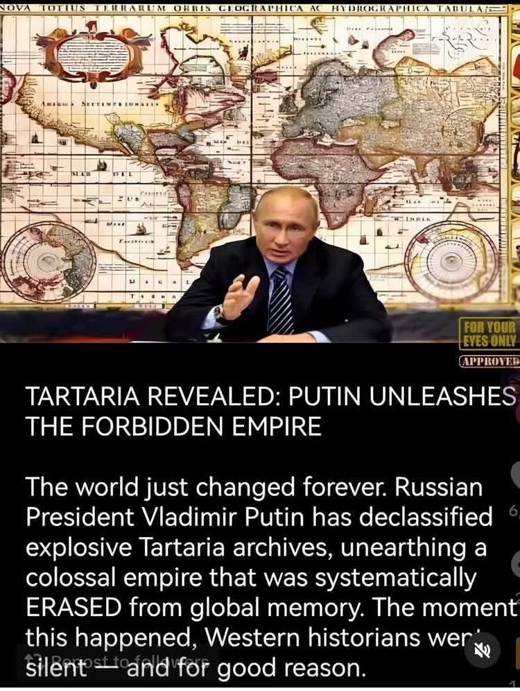 话梅女人 tweet media