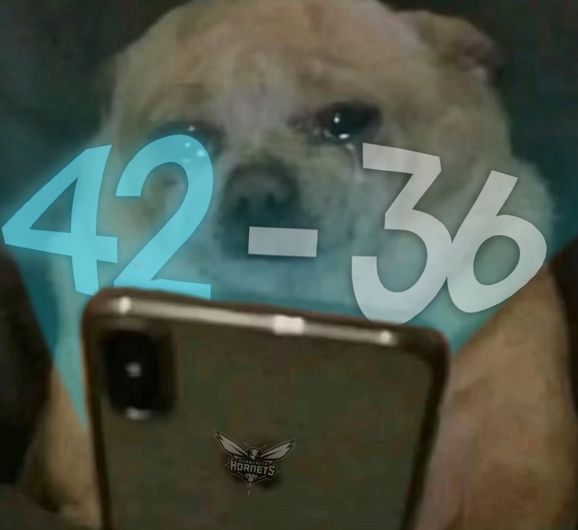 Charlotte Hornets tweet media