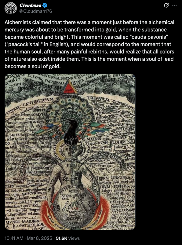 RAIN🏹 tweet media