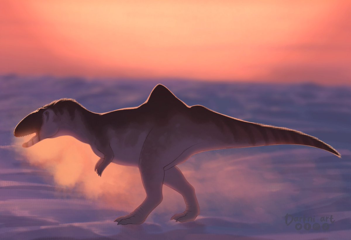 Darkni_Art🇻🇪 tweet media