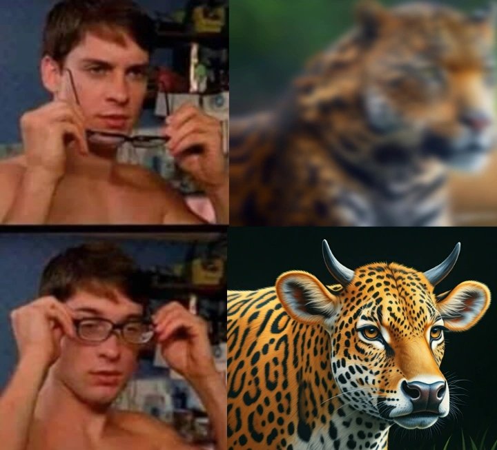 Jonas Manzoni tweet media