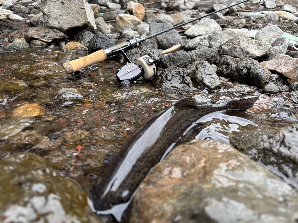 釣りキチ助平さん　(START LINE) tweet media