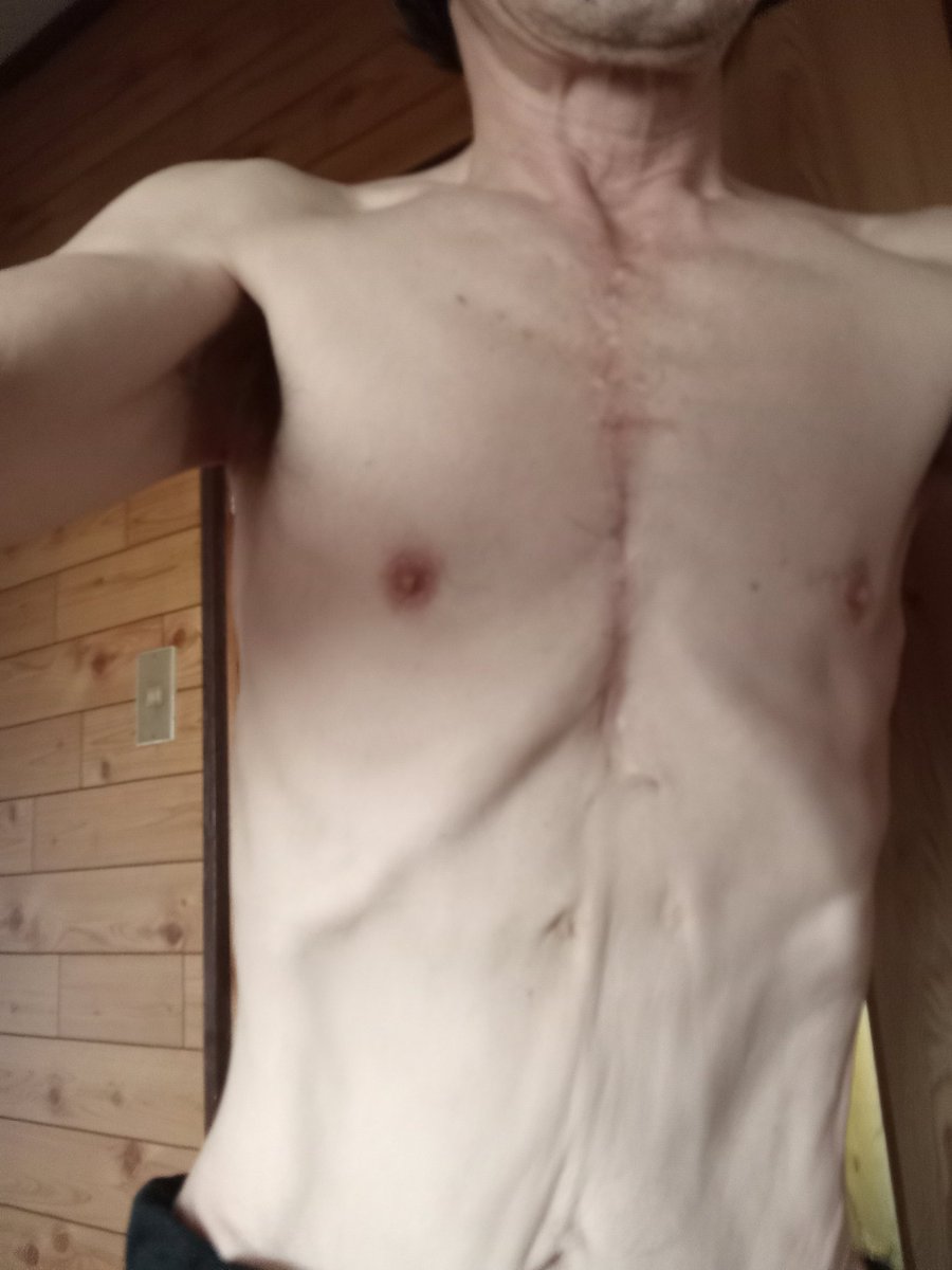 Lucky Pancho🇯🇵 tweet media