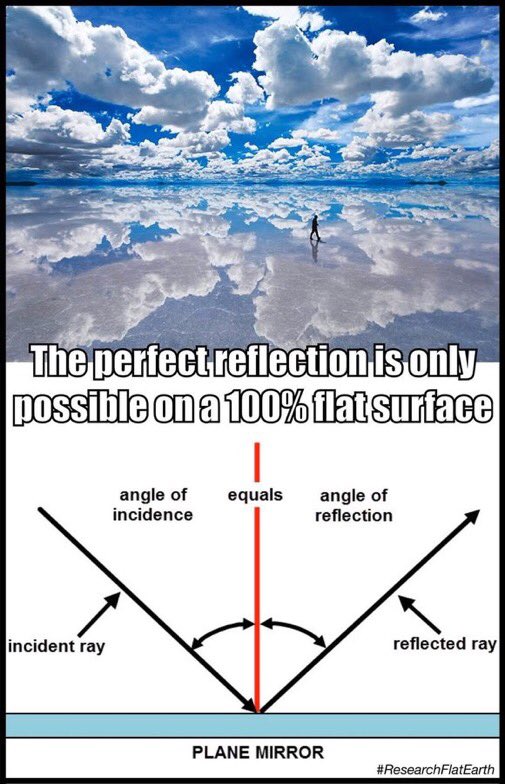 FlowerMantis tweet media