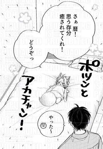 茉白あさひな🌸5/21❷巻発売 tweet media