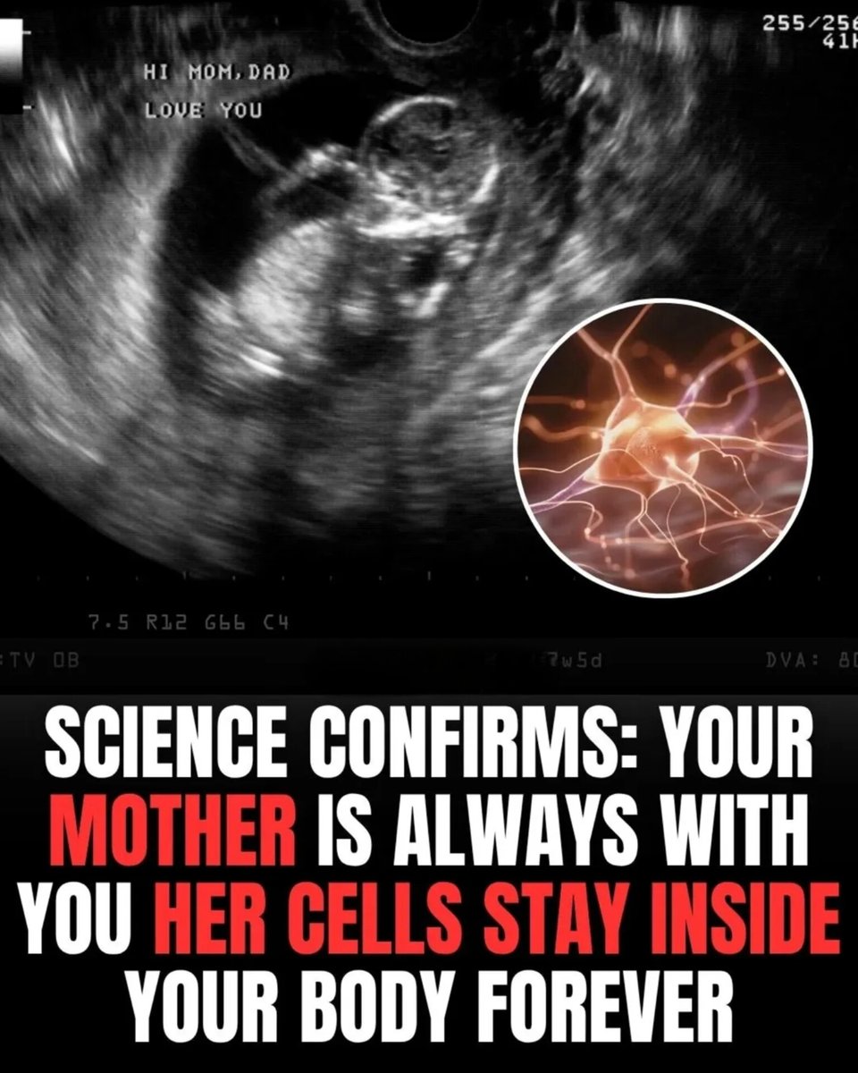 The World R🅰️nking tweet media