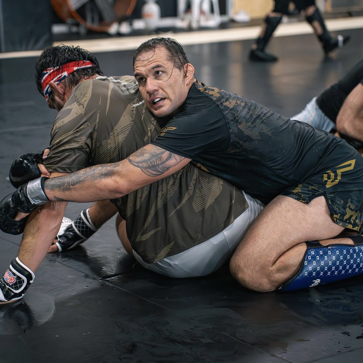 Emiliano Sordi tweet media