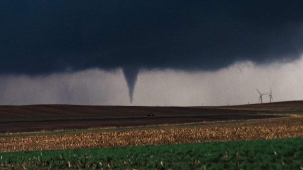 TornadoTRX tweet media