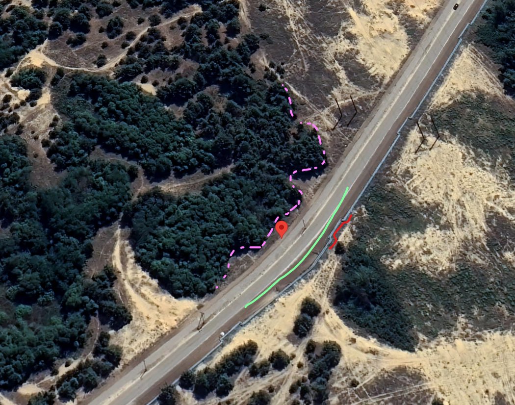 Fellieꑭ🏴🇨🇦🇺🇦 tweet media