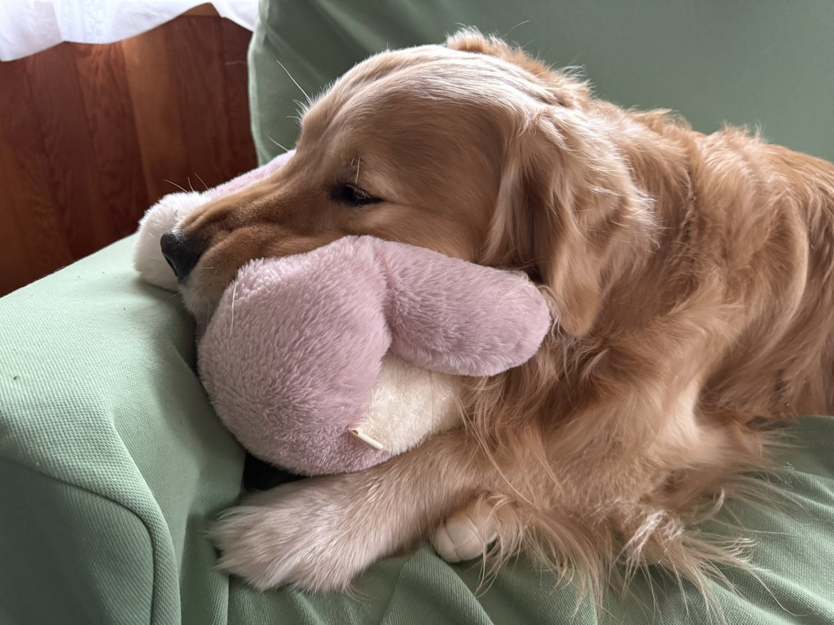 ふぉるて tweet media