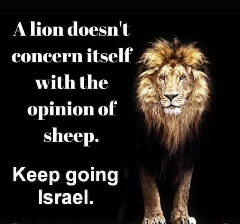 Rich Toronto tweet media