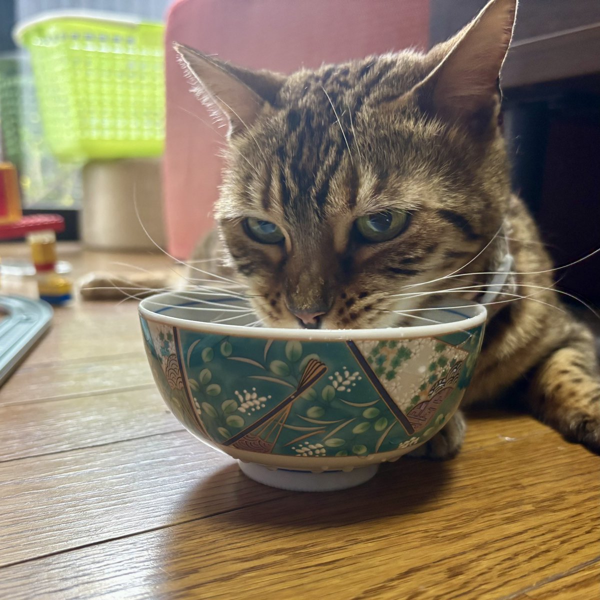 🦍non-5/5残狂【東7 G07b】 tweet media