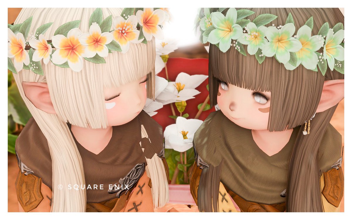 ララフェル限定放置スタジオららるーむ tweet media