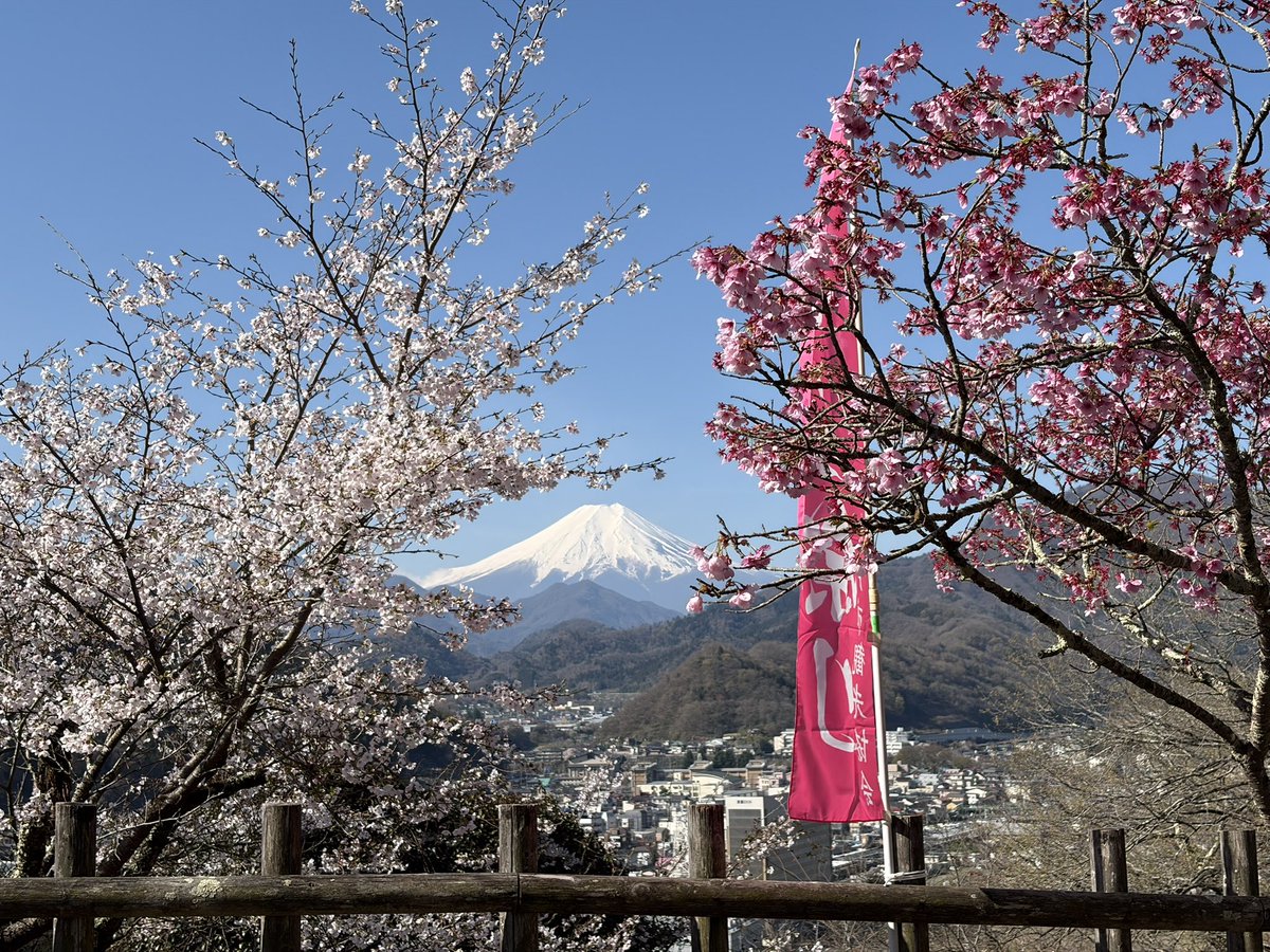 TOKYOディズニーリゾートFAMILY tweet media