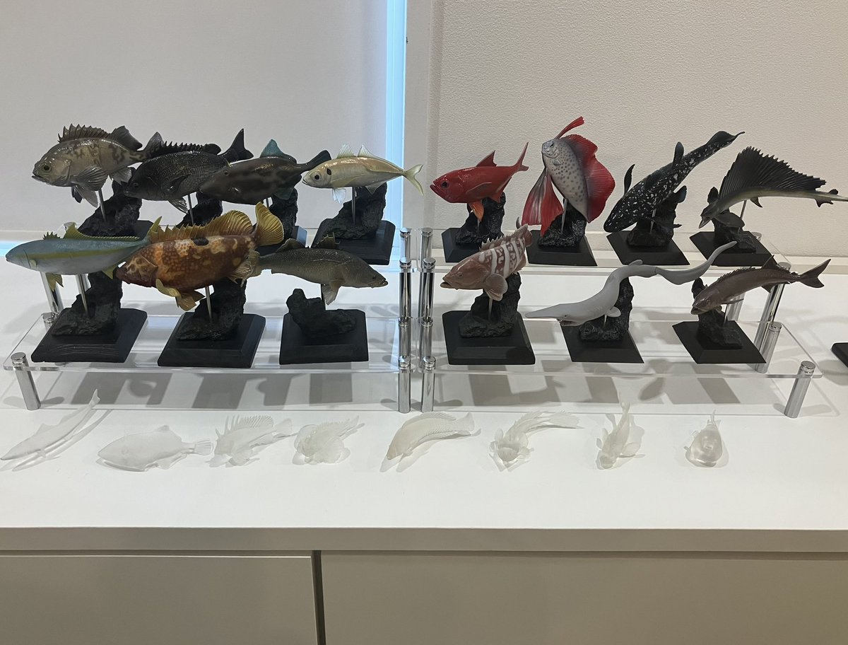 gomap/ごまぷ tweet media