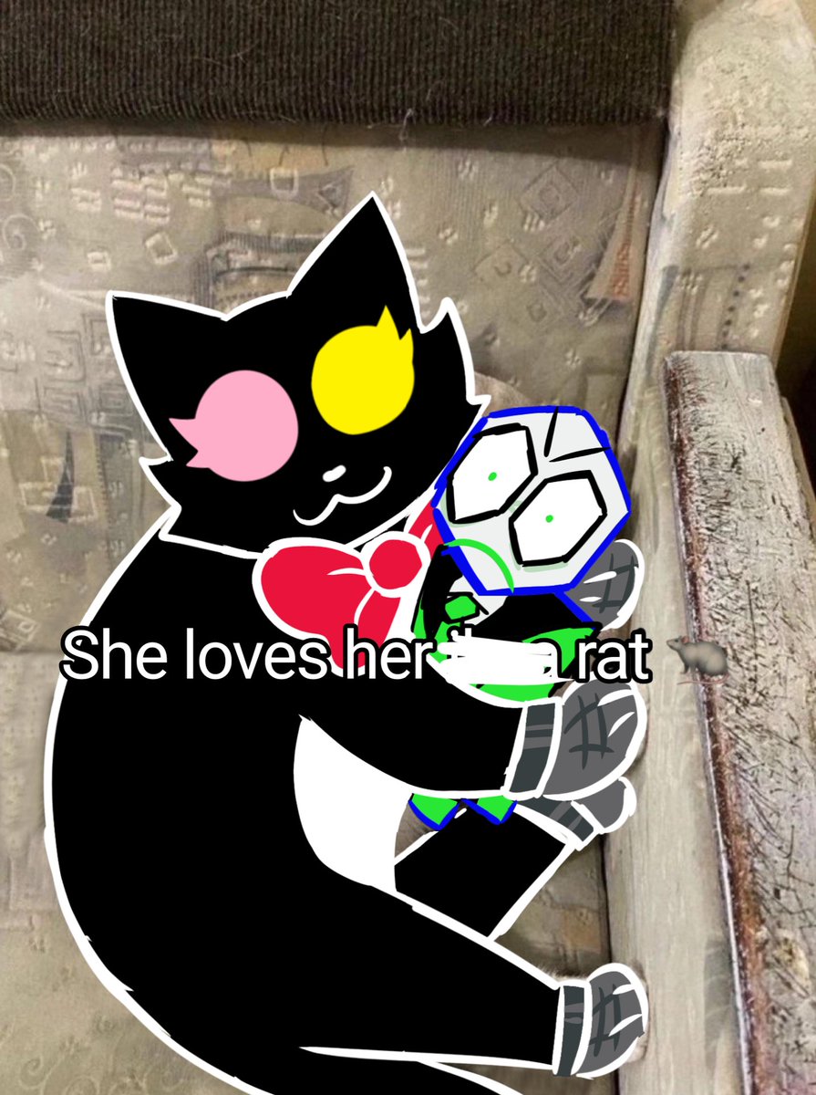 local cat tweet media