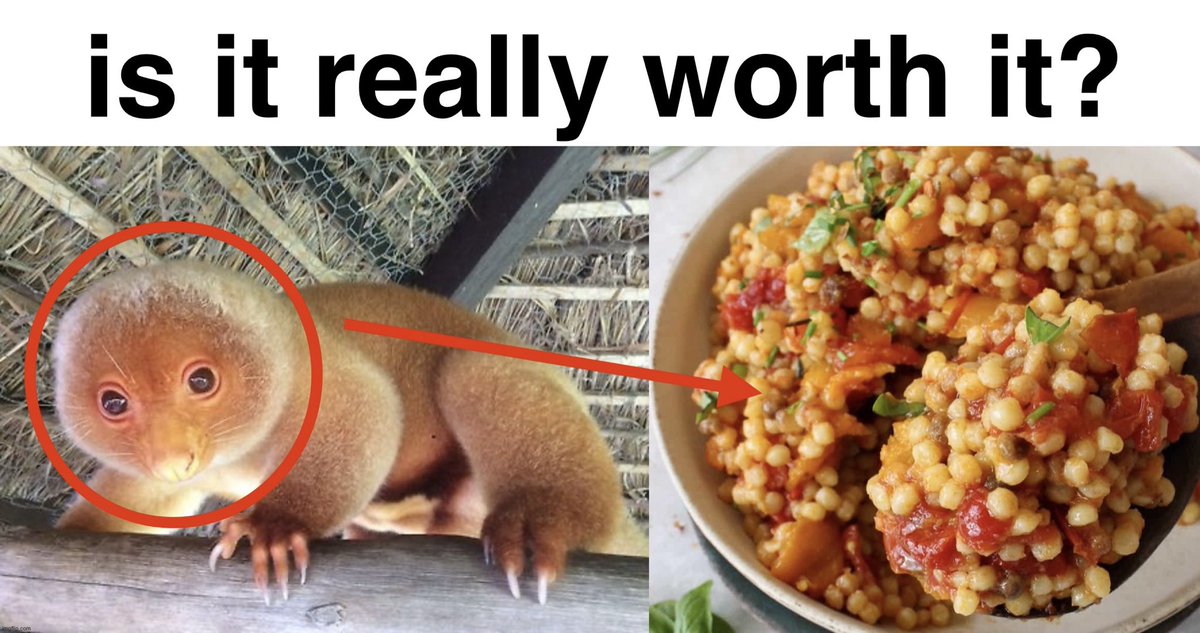 mima 𓅮 tweet media