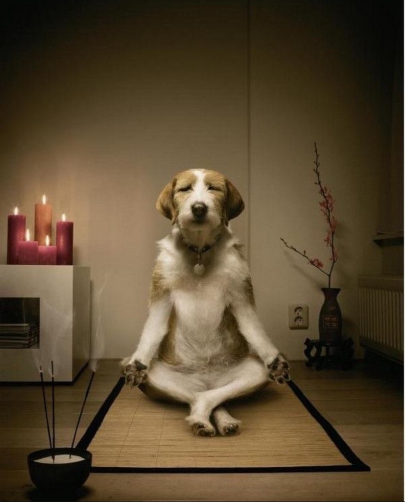 Sect321 🇻🇪/🇪🇸 tweet media