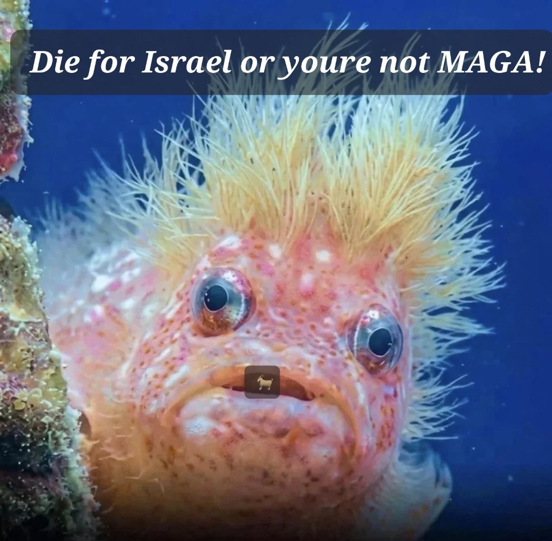 RandyGoat 🐐 tweet media