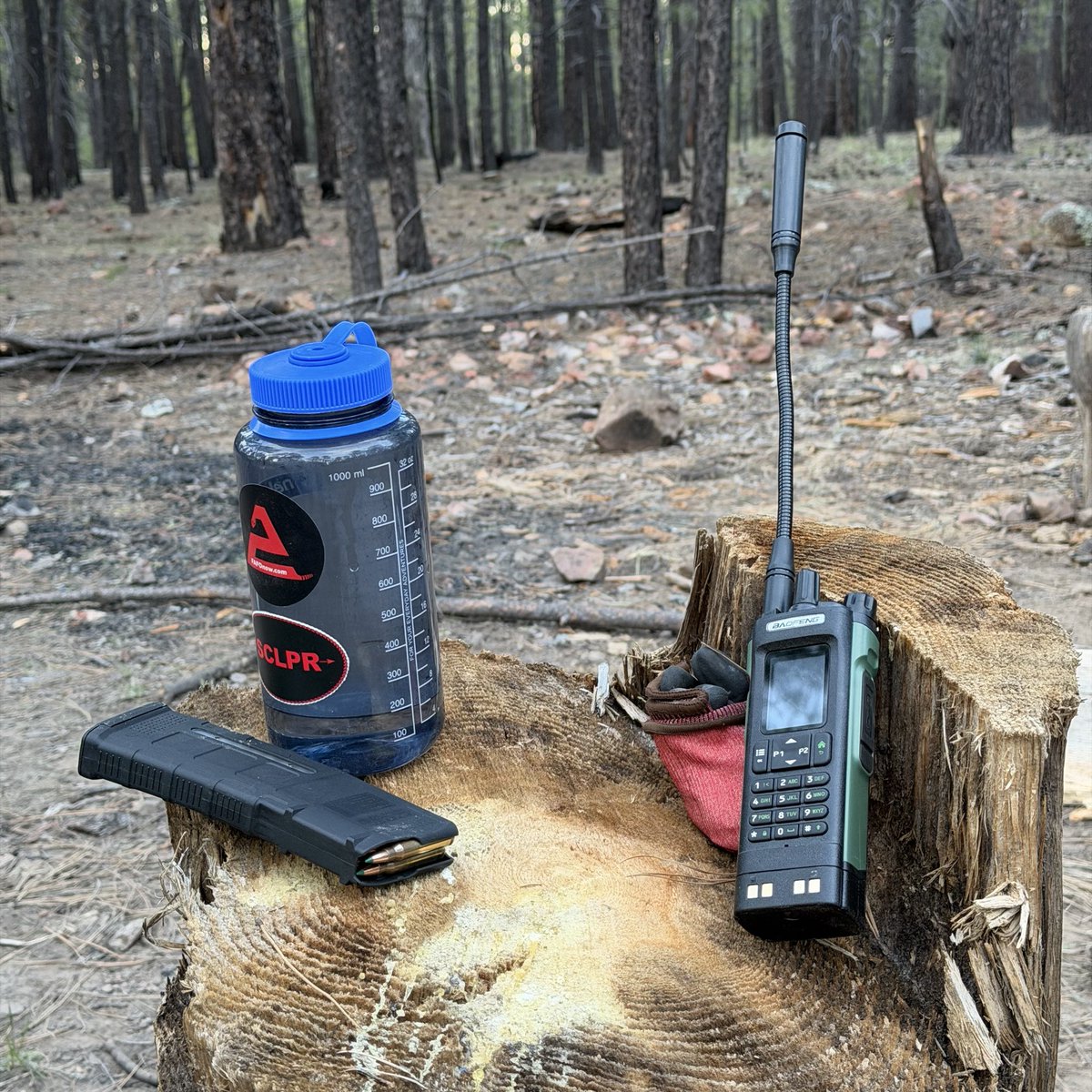 Name_bunchofnumbers tweet media