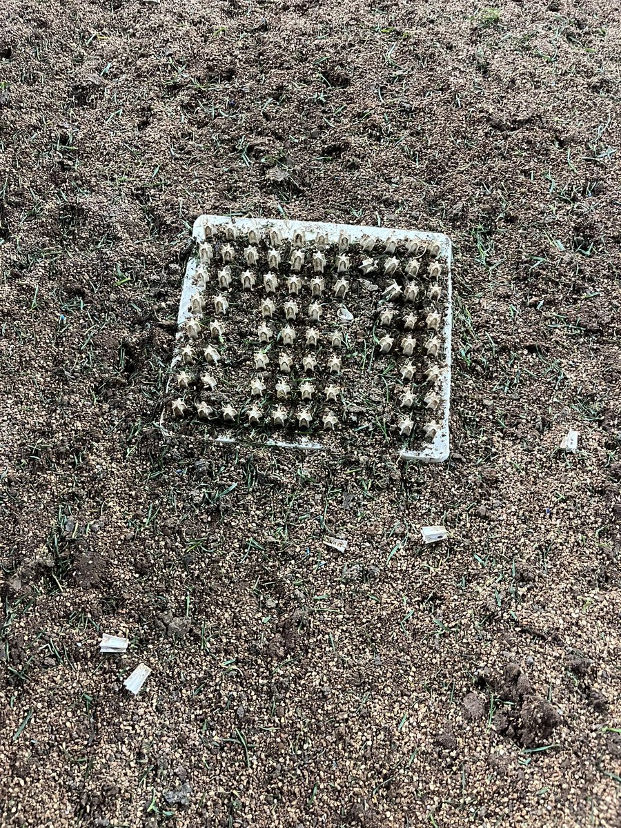 chris mason tweet media