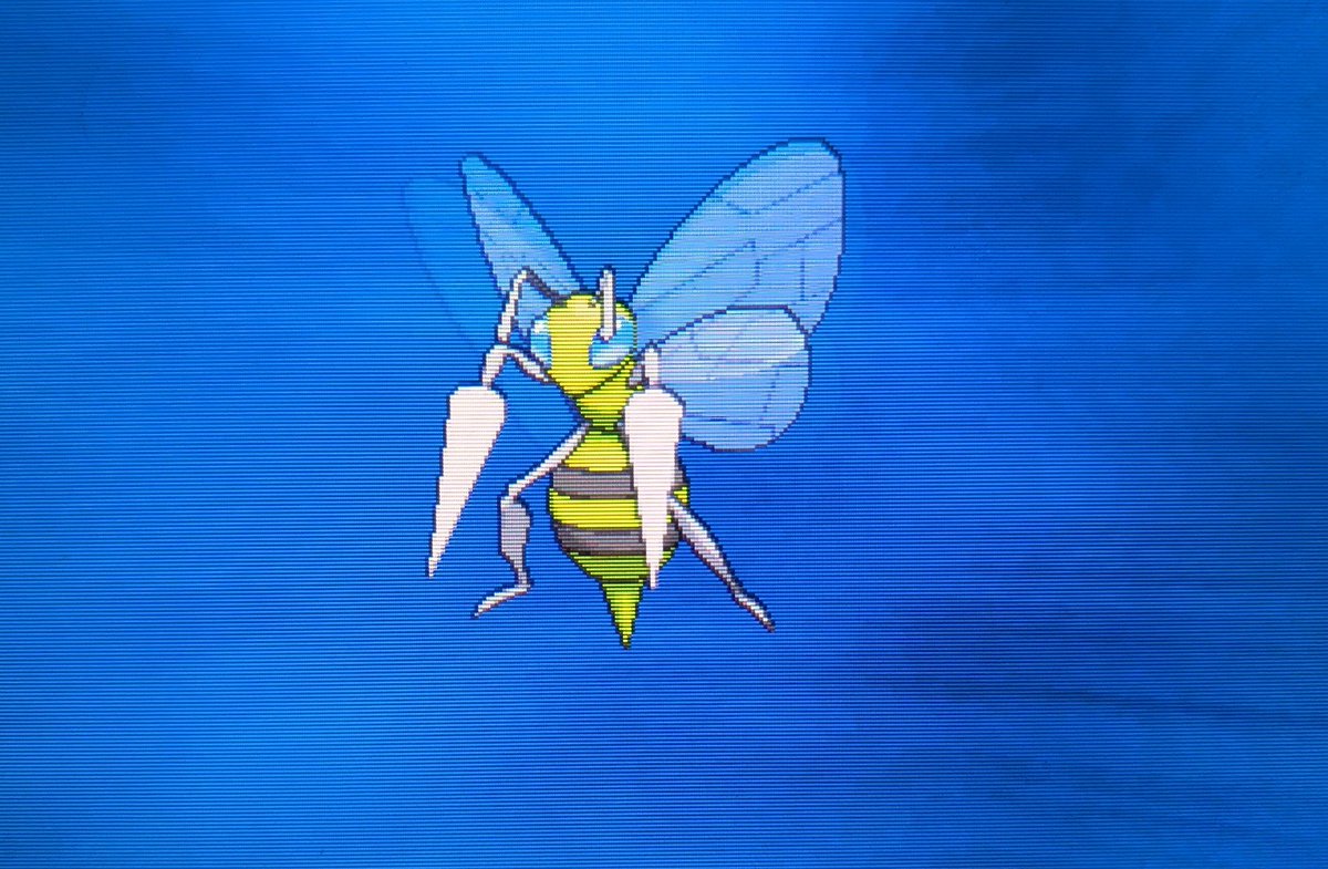 Alexander The Imp tweet media