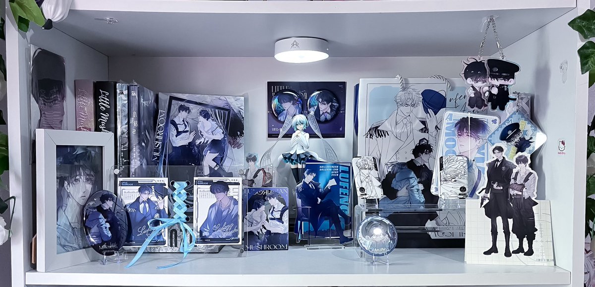 malu ⋆ 𐙚 ̊. 🪭 tweet media