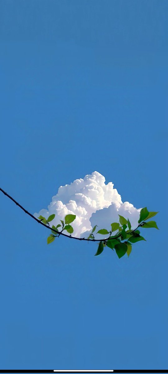 叮叮(互fo)💯💯💯 tweet media