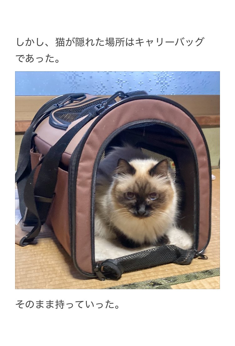 やーこ tweet media