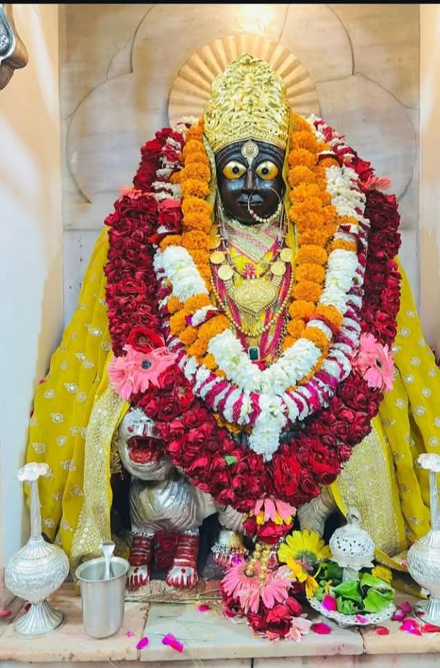 dr Avanindra Kumar Rai tweet media