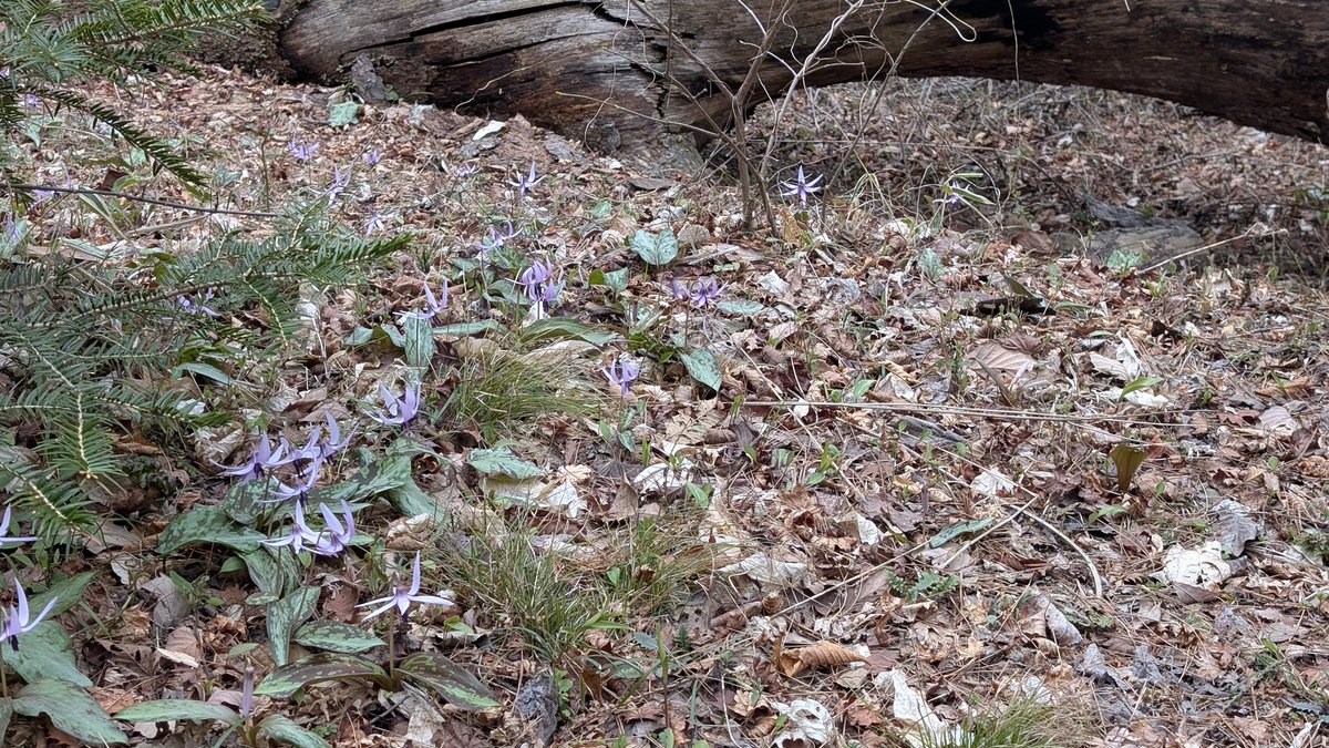 りうママ tweet media