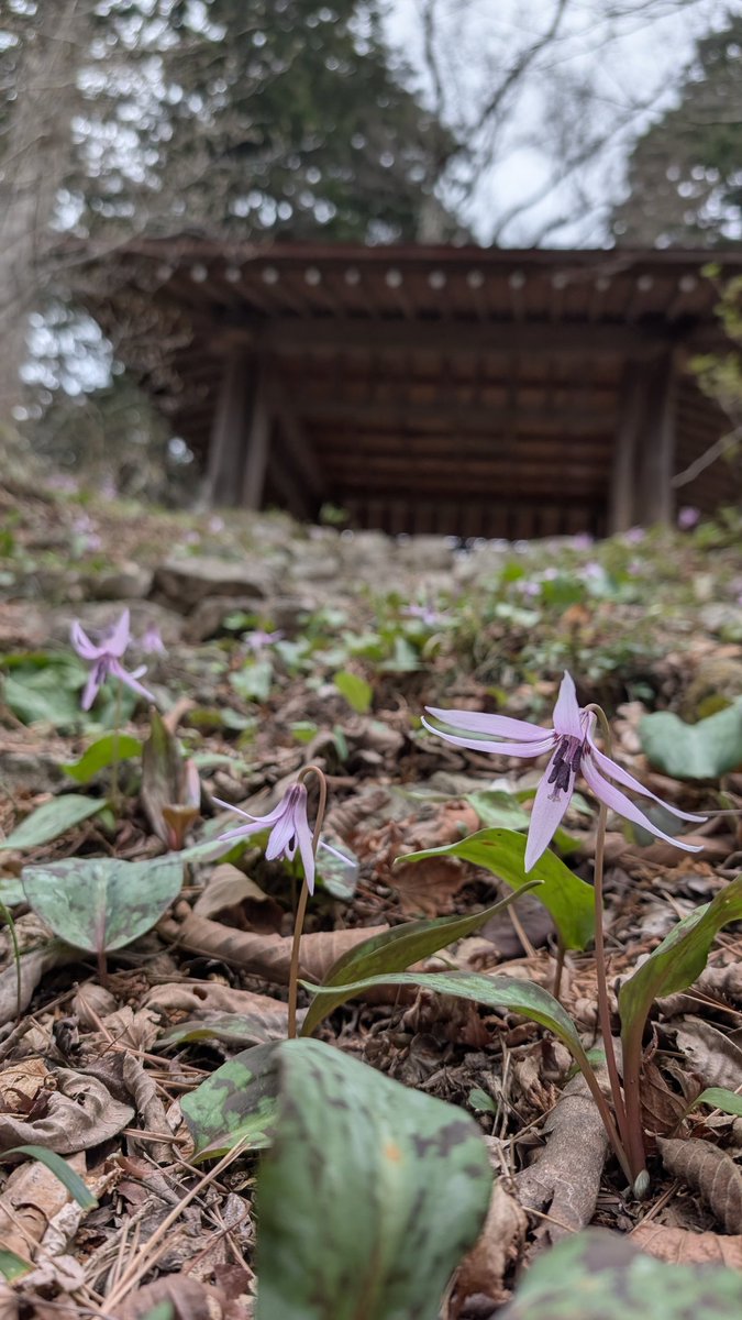 りうママ tweet media