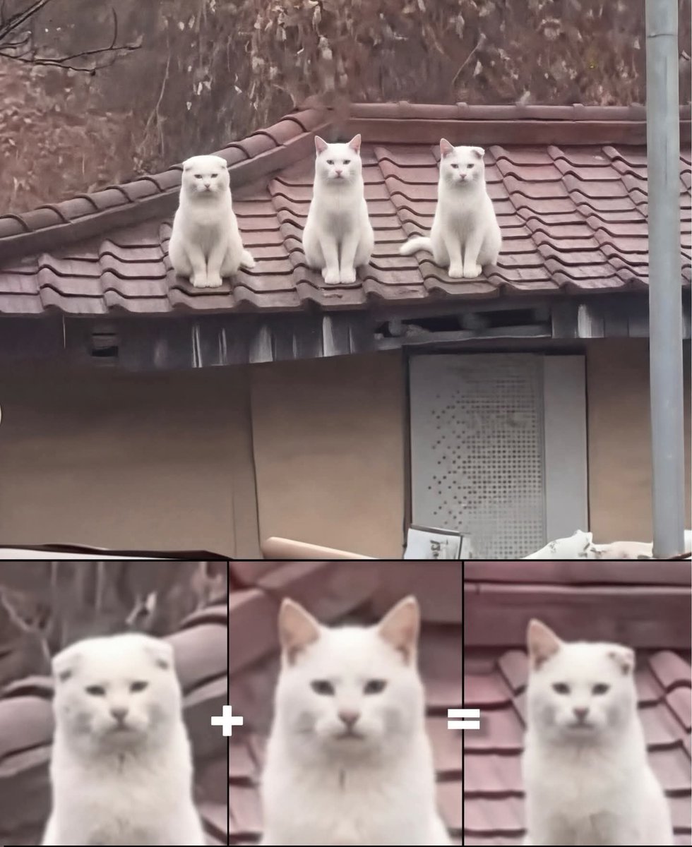 ?