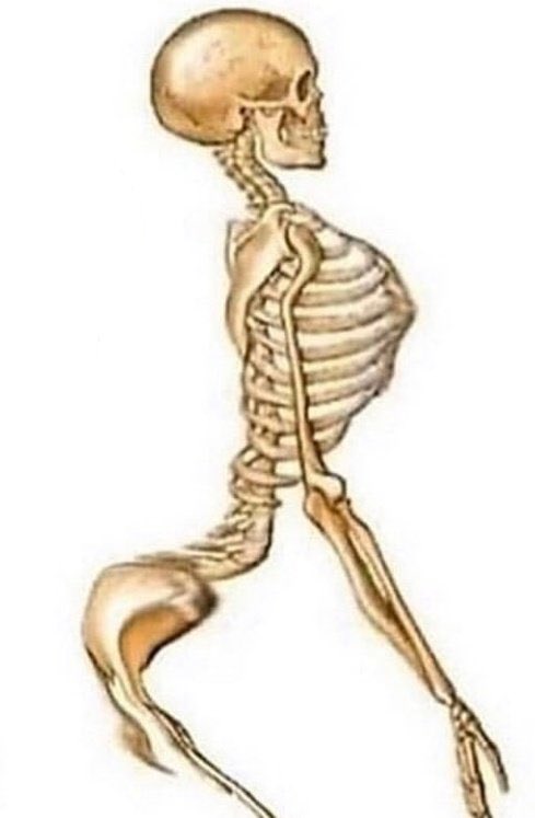 DestruyeTotos25 tweet media