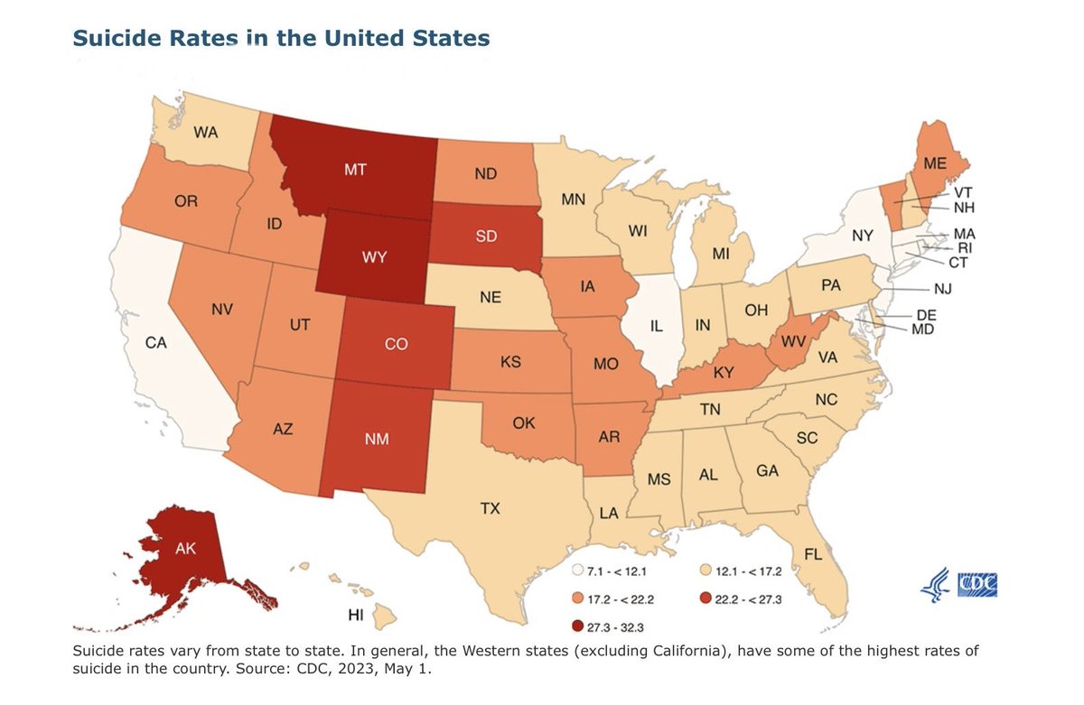 Filosophy tweet media