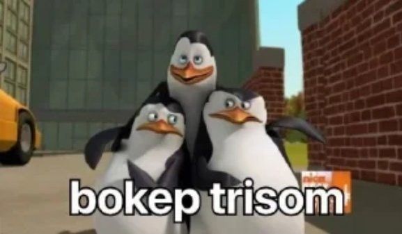 𝐍𝐨𝐳𝐞𝐥⚚ノゼル tweet media