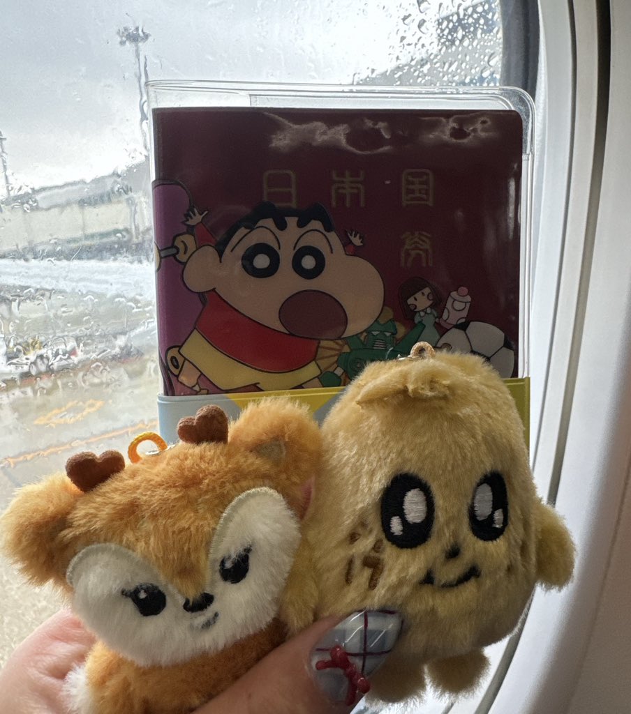 🫎ིྀ🐶ིྀなつ🐶ིྀ🐰ིྀ tweet media