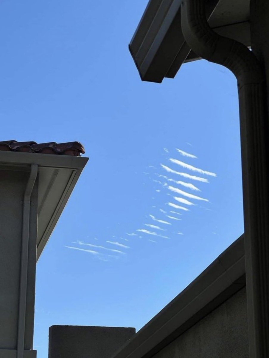 Trayvon Thomas tweet media