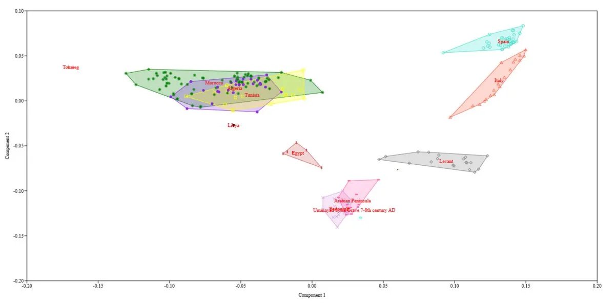 Oncarnam tweet media