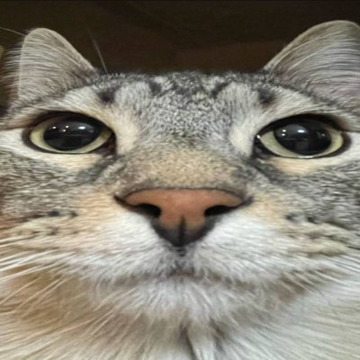 FrameMogger tweet media