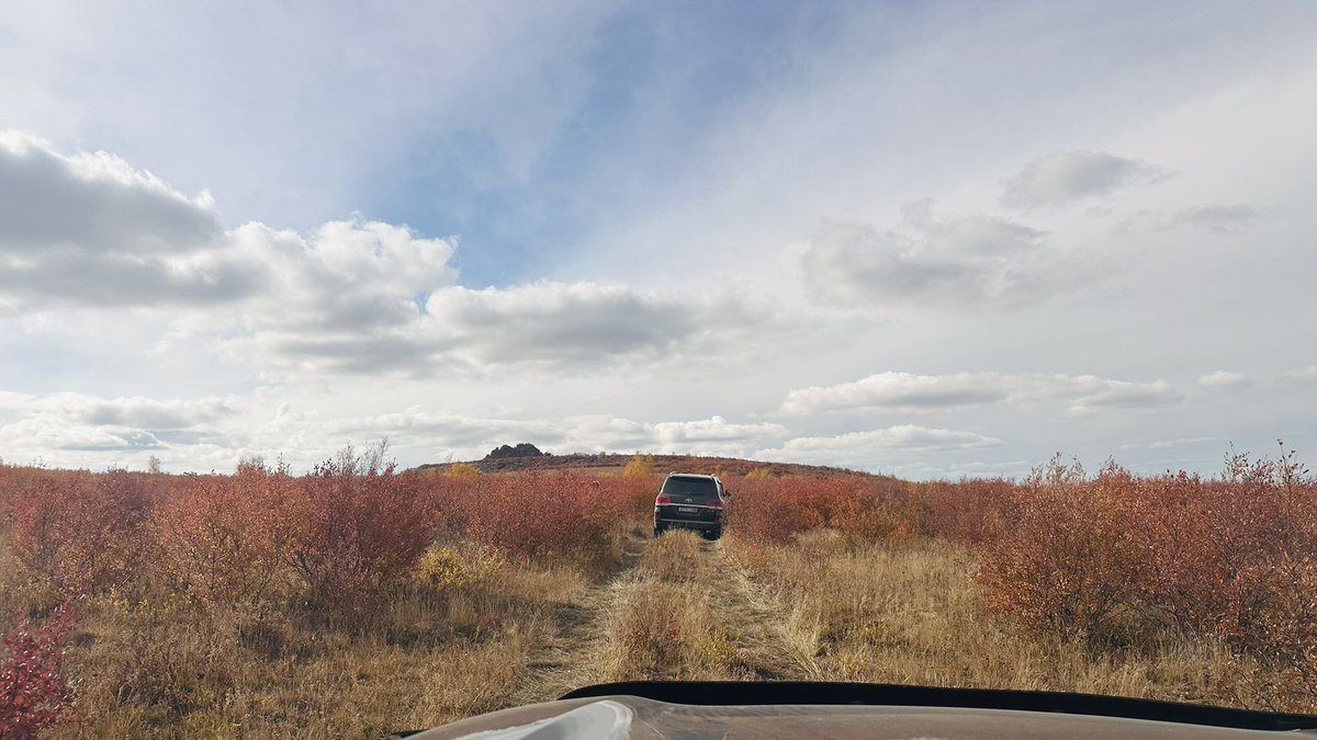 БОЛООДОЙ ❌ ☕️ tweet media