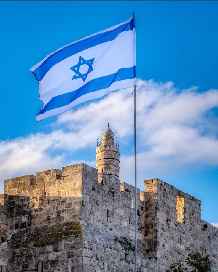 Israel Army tweet media