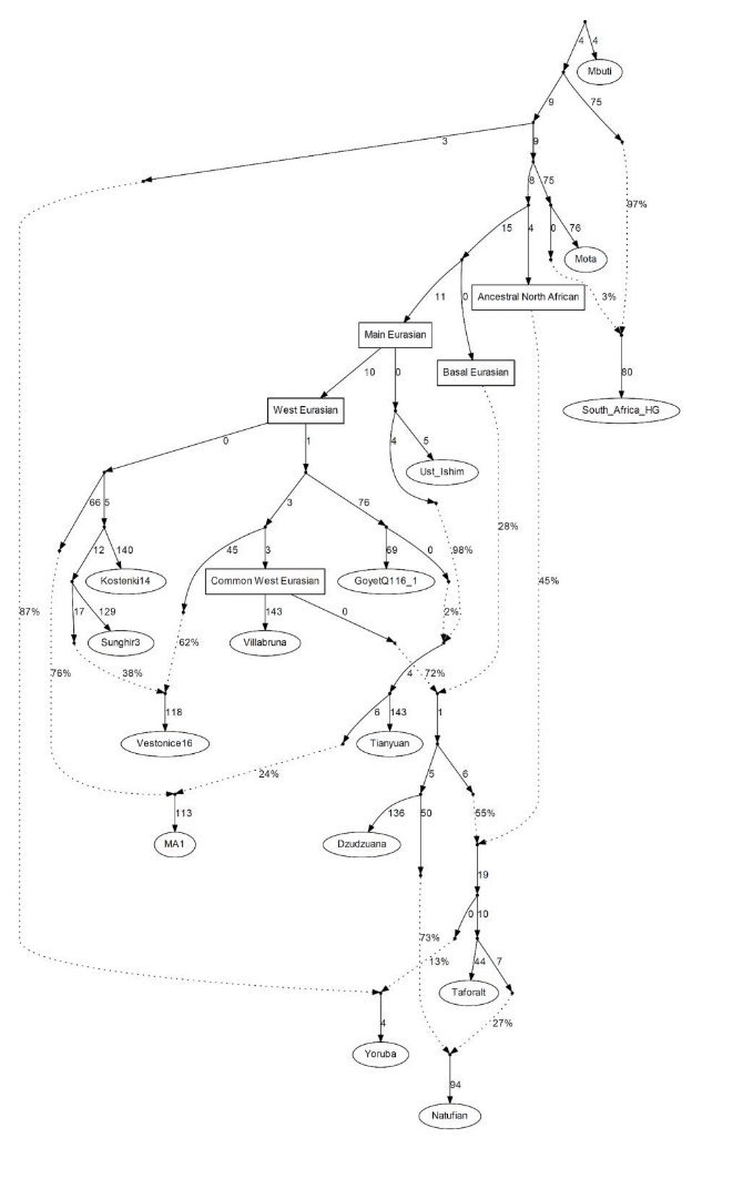 Oncarnam tweet media