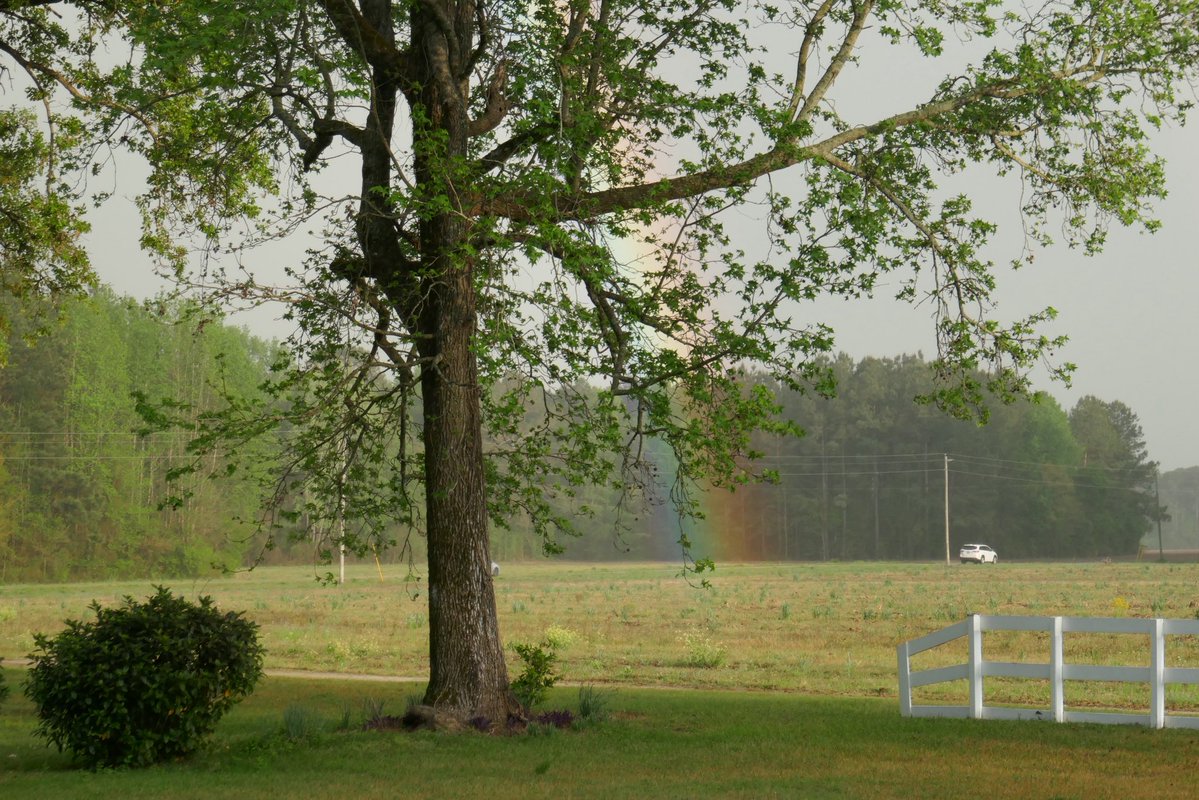 pix 🫂 tweet media