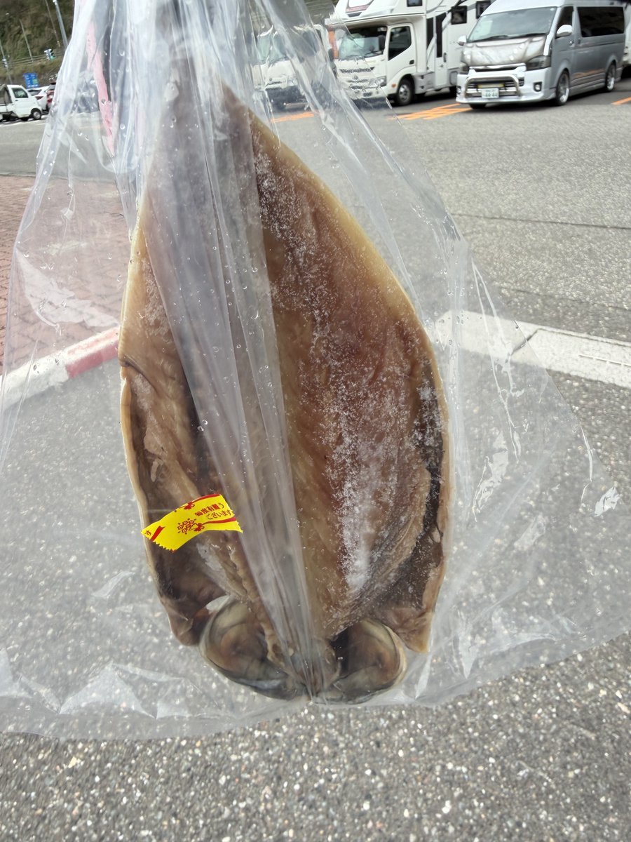 ちくもど ▶▷OFFF tweet media