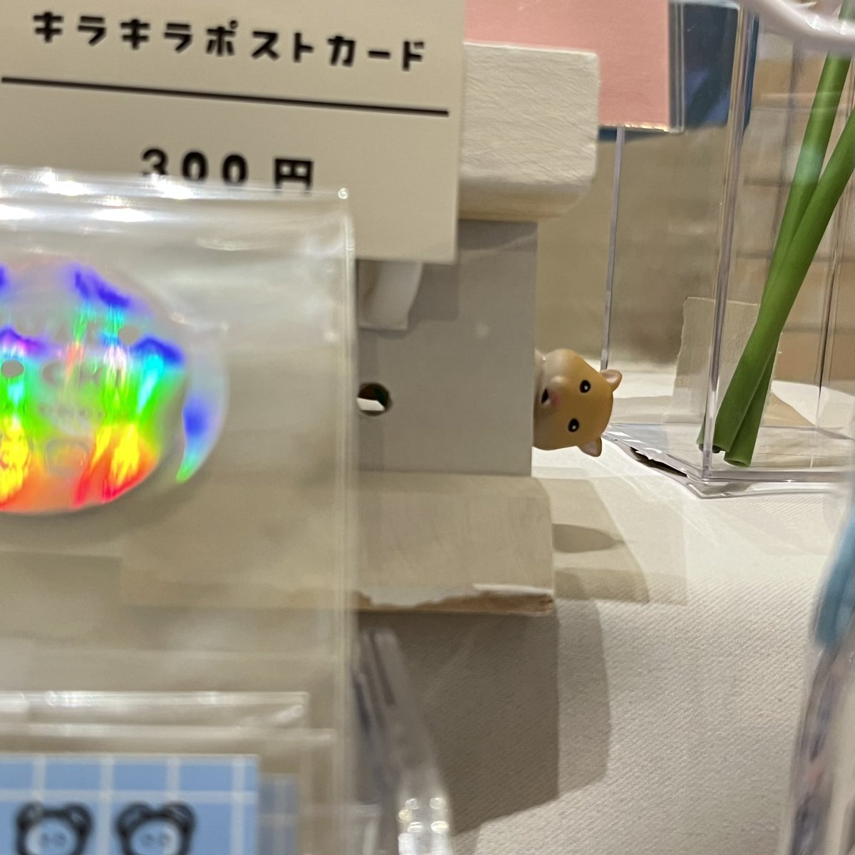 きなこもち｜4/4-5ハマクリ tweet media