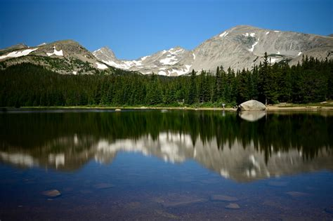 Milgram 33% tweet media