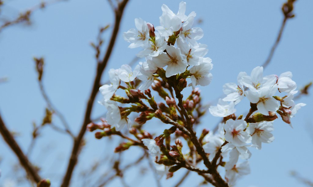 善右衛門 tweet media